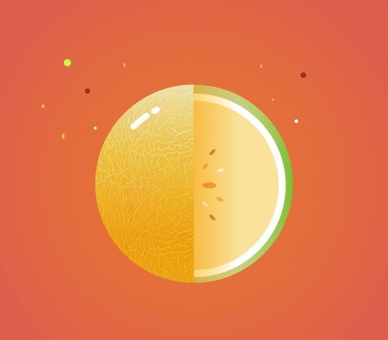 Melon-Planet