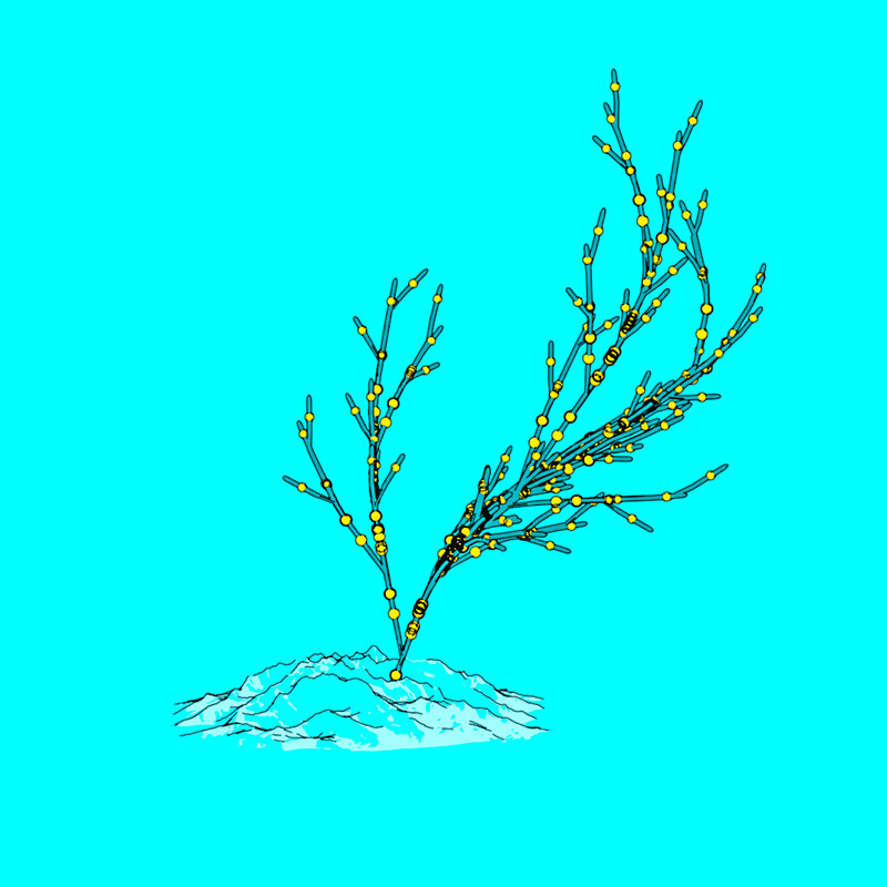 Tree-Growth